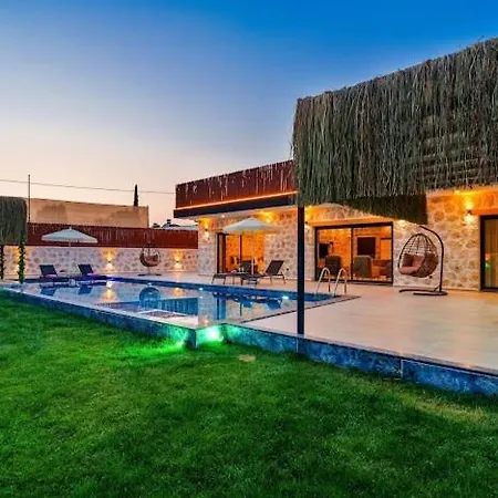 Elsia, The Favorite Of 2025